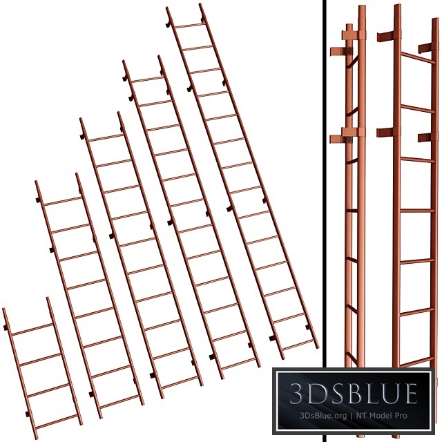 Roof ladder / Roof safety system