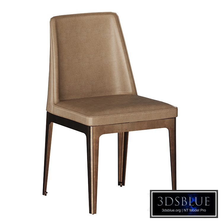 Dining chair beige 58DB-DC14802 garda decor