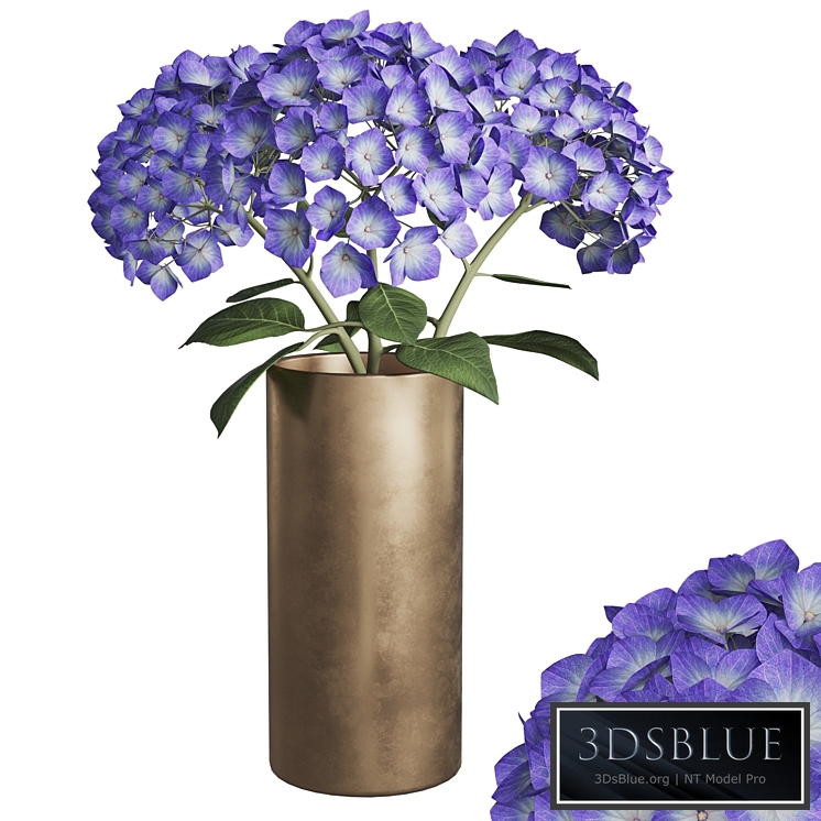 Hydrangea branches in a vase_02