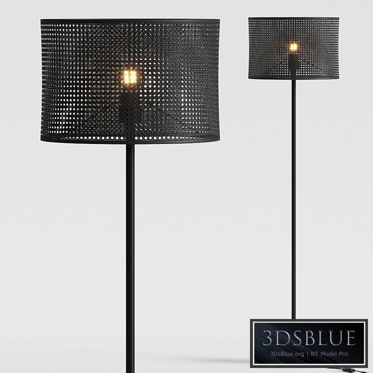 Aromas del Campo Ito Floor Lamp