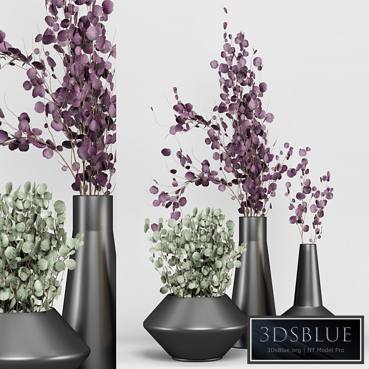 indoor Plant Set 04 - Eucalyptus bouquet