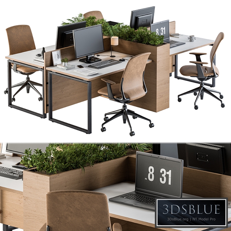 Office Furniture - employee Set 21