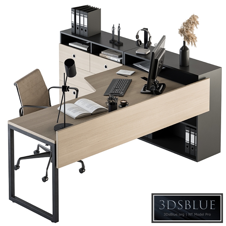 Office Furniture - Manager Set 16