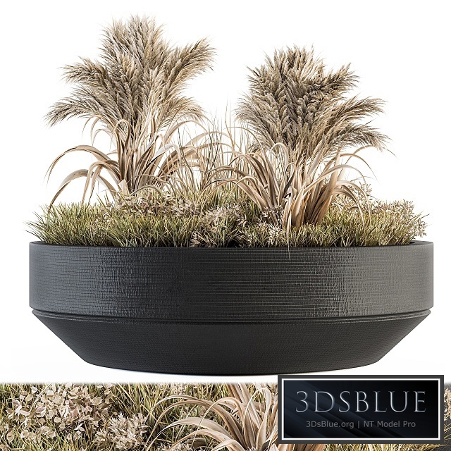 Outdoor Plants tree in Concrete Pot - Set 147