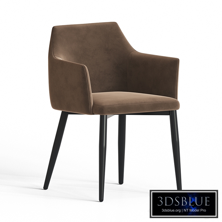 Arizona Dining Chair Stulych