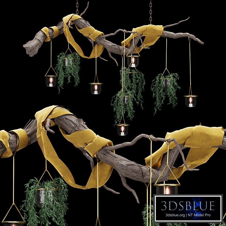 Collection plant vol 79