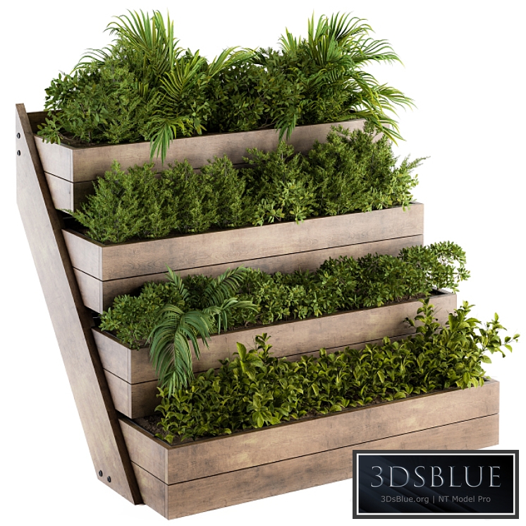 Outdoor Plants Wooden Plant Box - Set 153