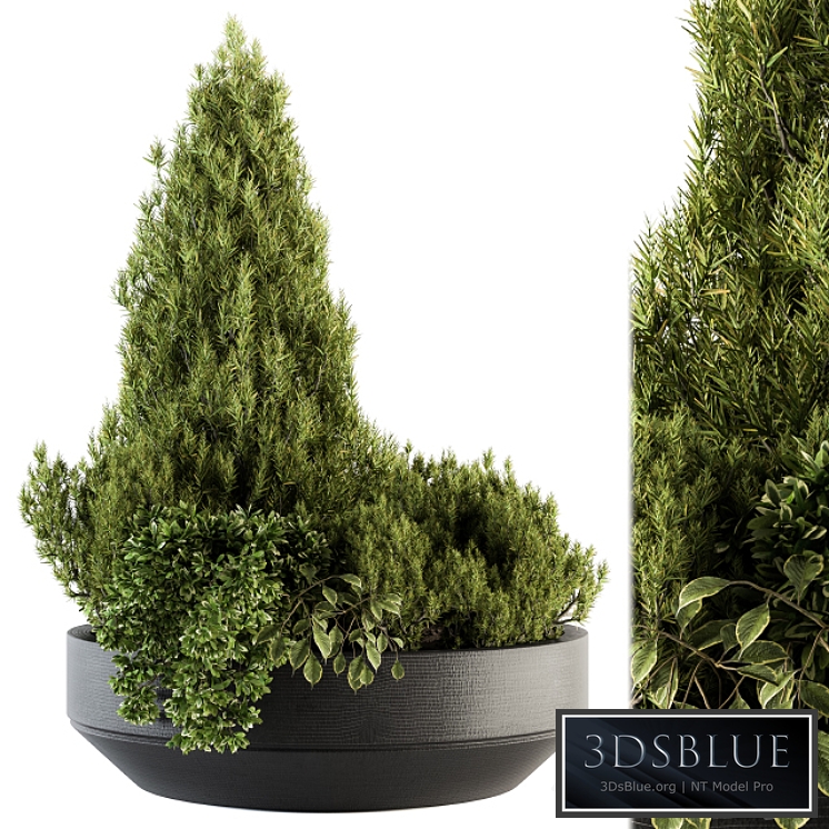 Outdoor Plants Garden - Set 142