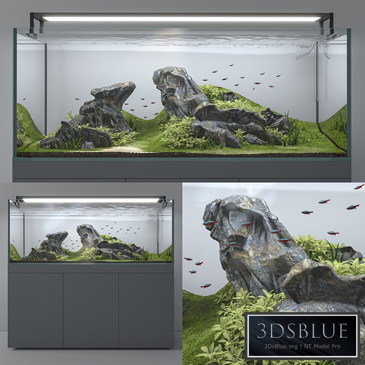 Aquascape aquarium