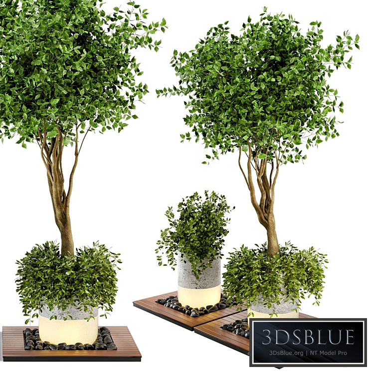 Outdoor Plants bush & Tree Combination of wood & concrete Pot - Garden Set 45