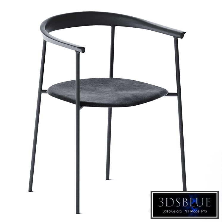 Arc Upholstered Chair by TAKT