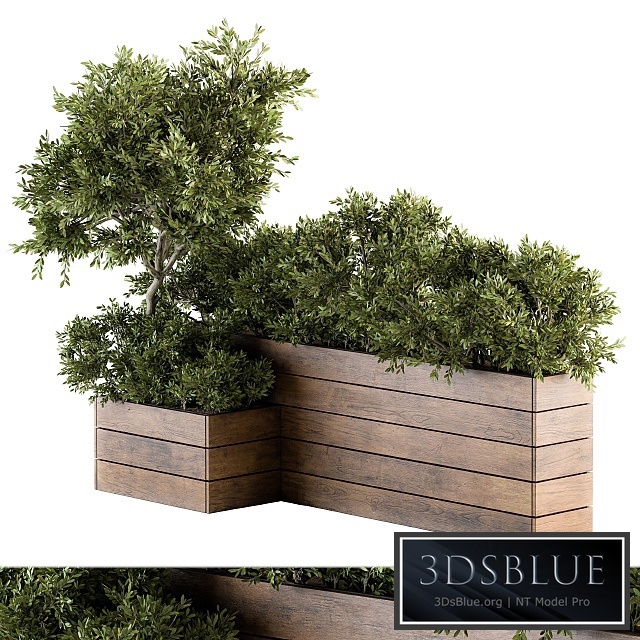 Outdoor Plants tree in Wood Box - Set 154
