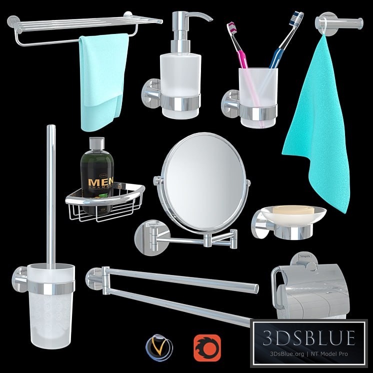 HANSGROHE Logis Universal Accessory Set