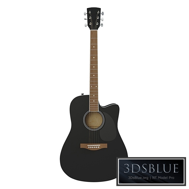 Acoustic guitar