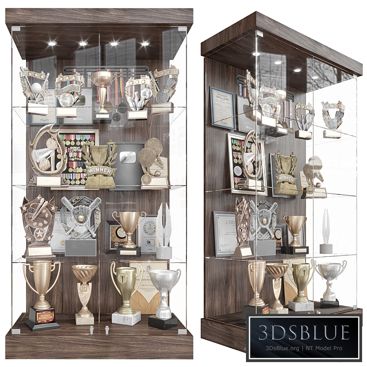 Award cabinet 2