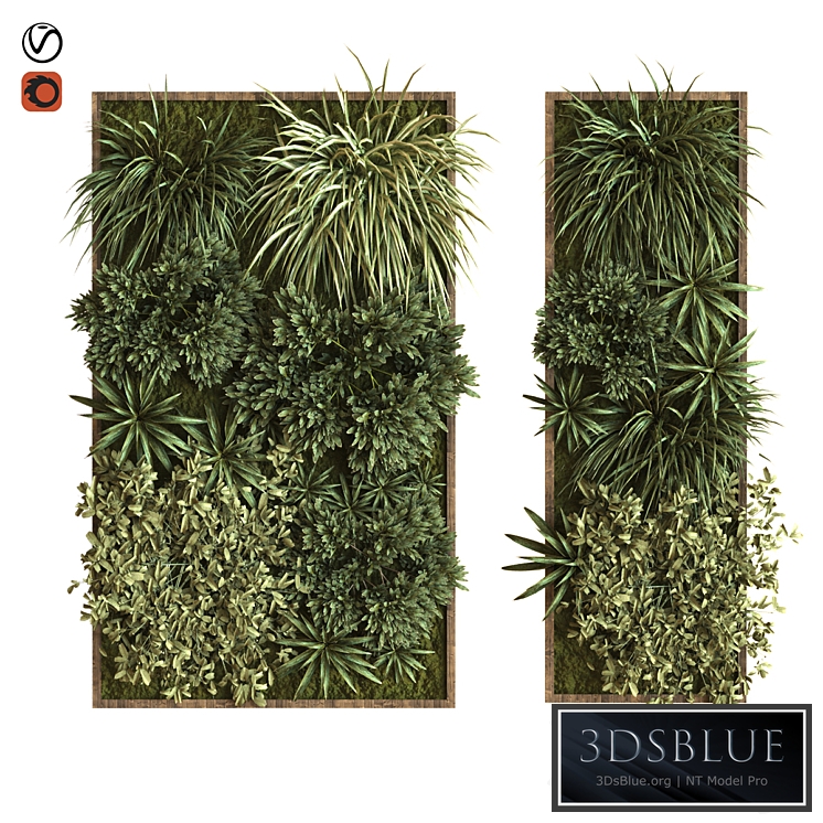 green wall vertical plant set 036