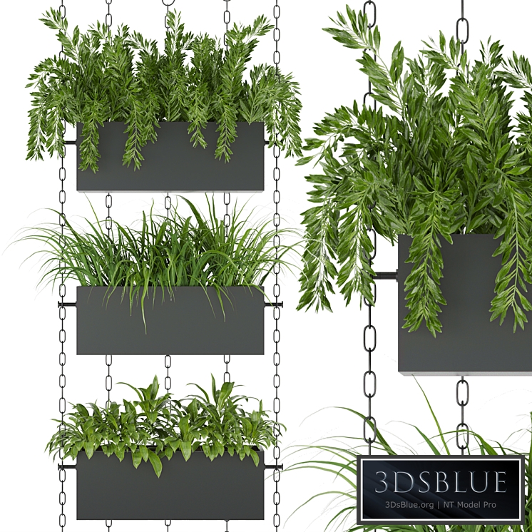 Collection plant vol 85