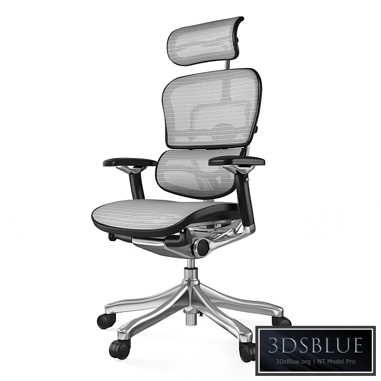 Armchair Office Ergohuman Plus Luxury (6 fabric colors)