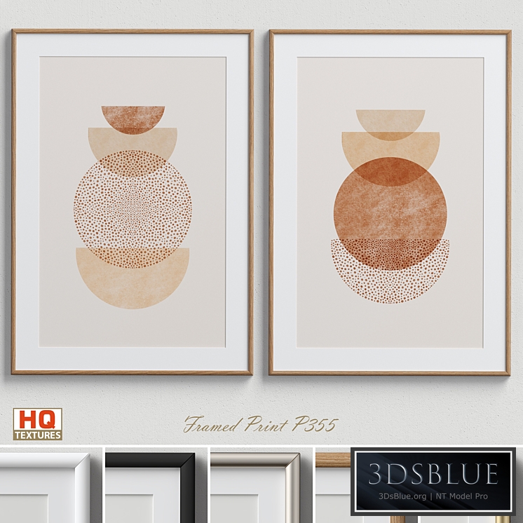 Framed Print P-355