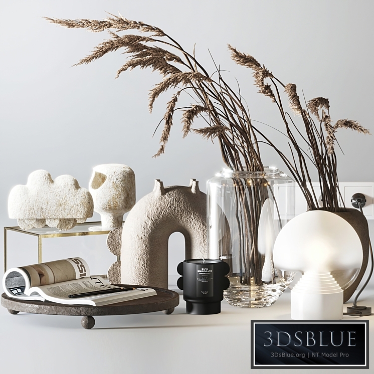 Decorative set with Ceramic and Phragmites 10