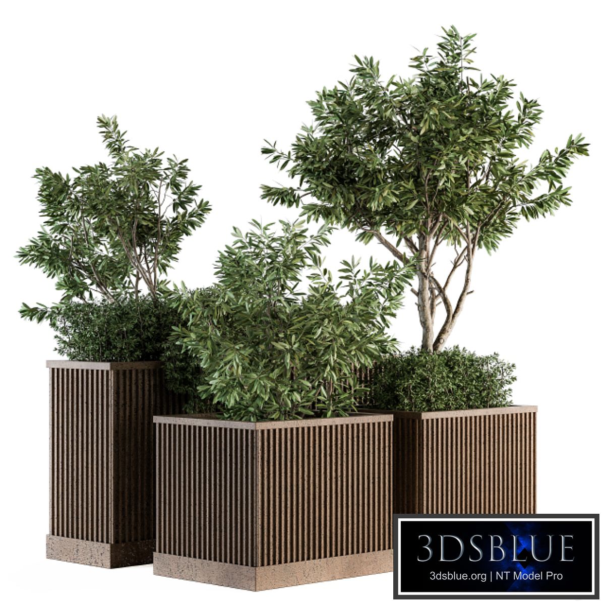 Outdoor Plants tree in Concrete Box - Set 160