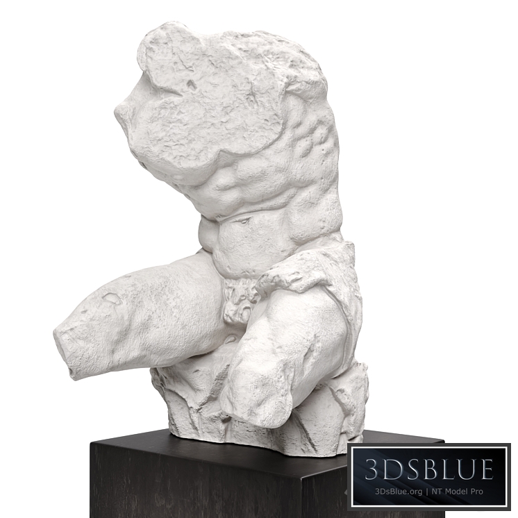 The Belvedere Torso plaster