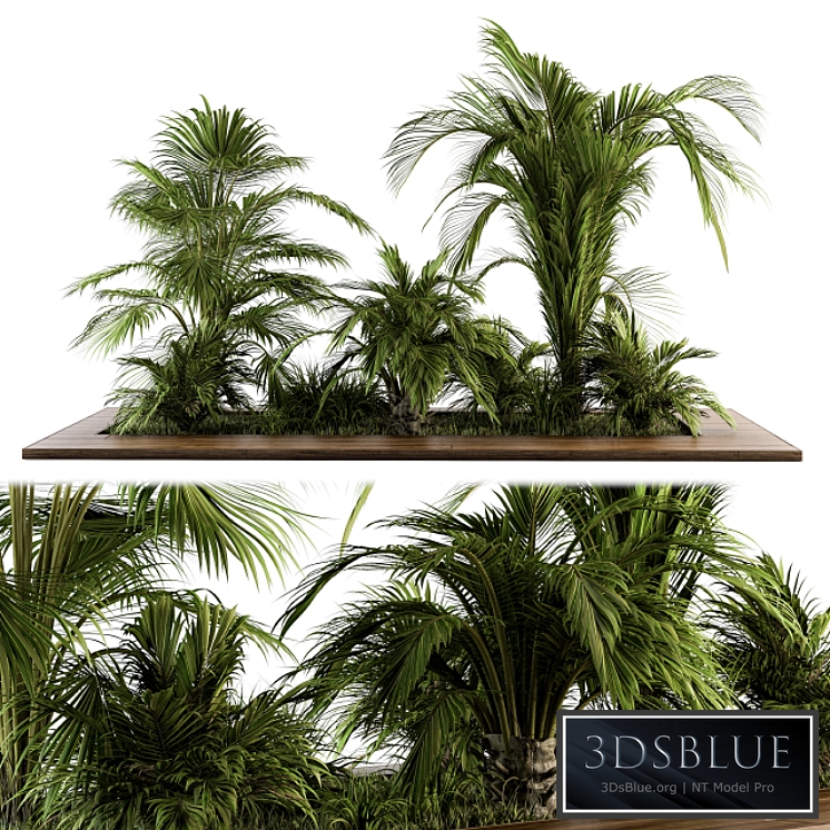 Outdoor Plants tree Tropical Garden - Set 143