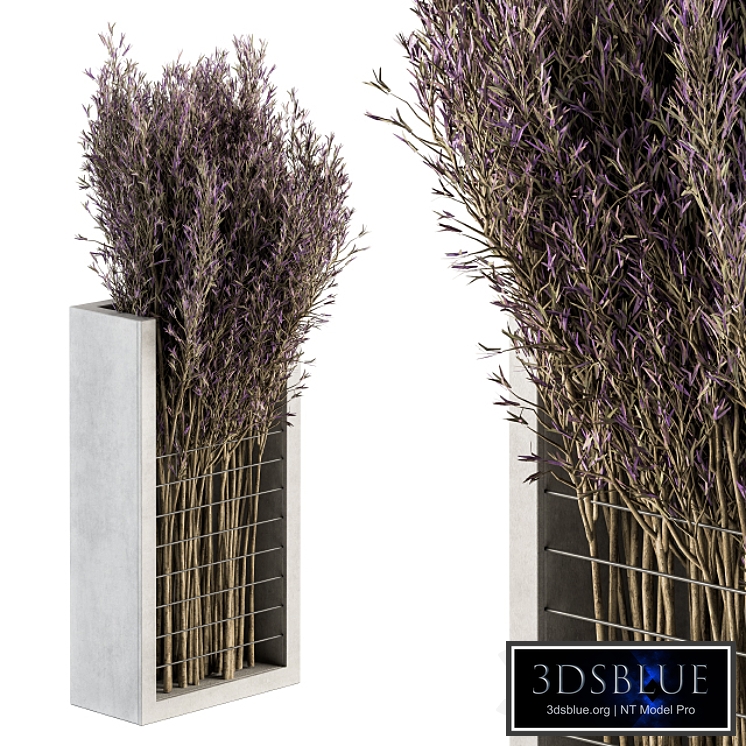 Bouquet - Lavender Branch in vase 38