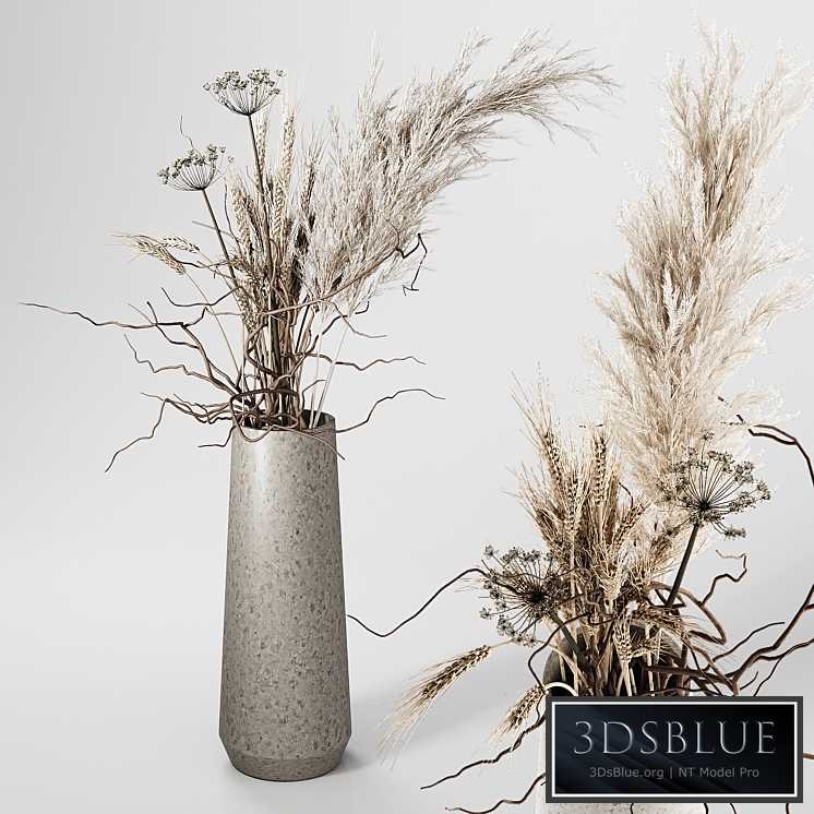 Dried Plants Bouquet in Vase