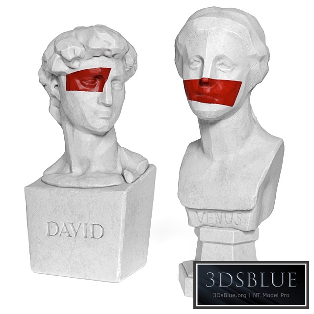 Venus and David edges bust