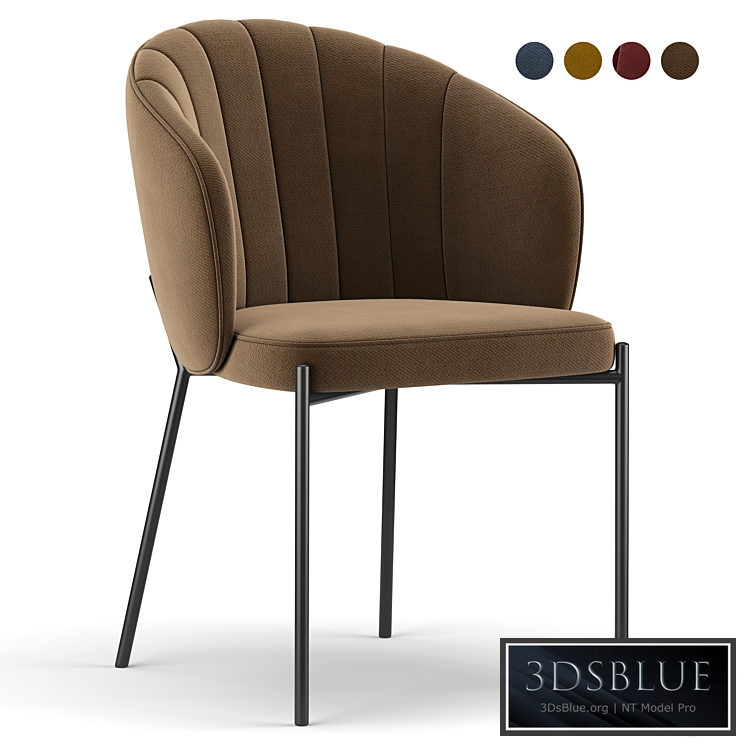 Shell Back Dining Chair