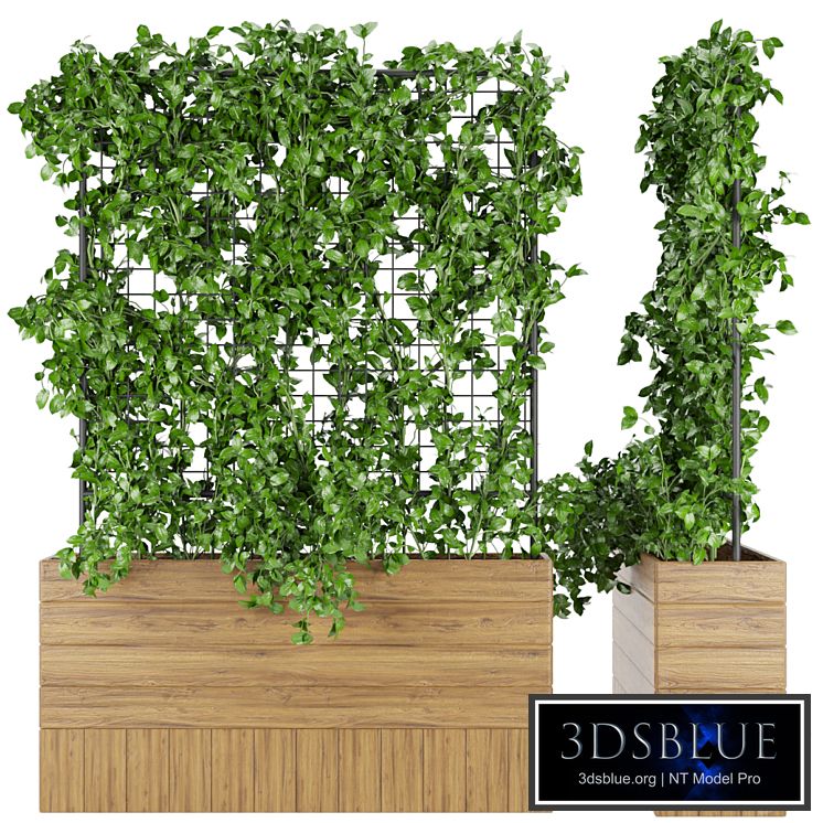 Collection plant vol 102