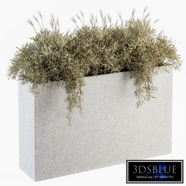 Outdoor Plants in Concrete Plant Box - Set 165