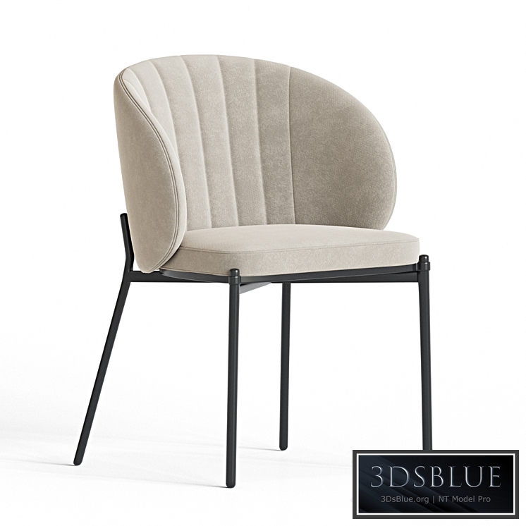 Shell Back Dining Chair