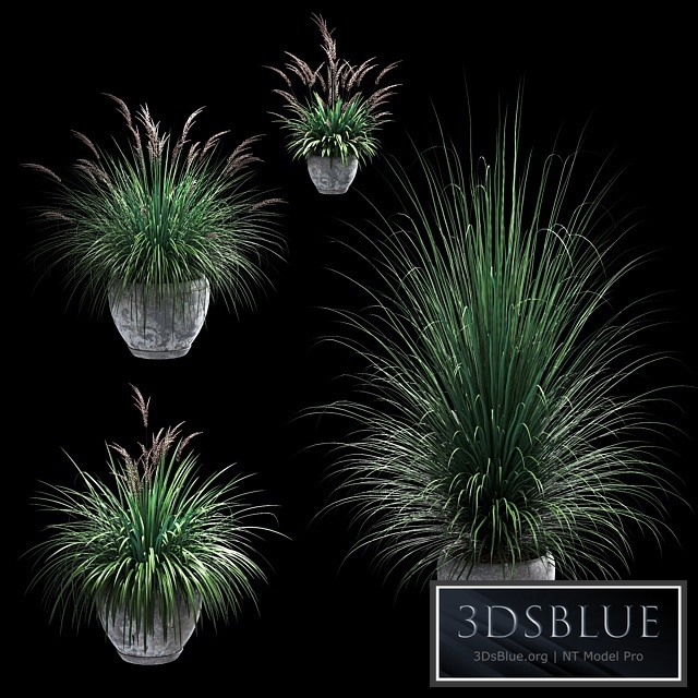 Outdoor potted plants. 4 models