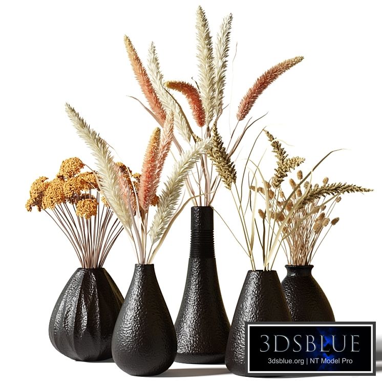 Set of bouquets of dried flowers in black clay vases