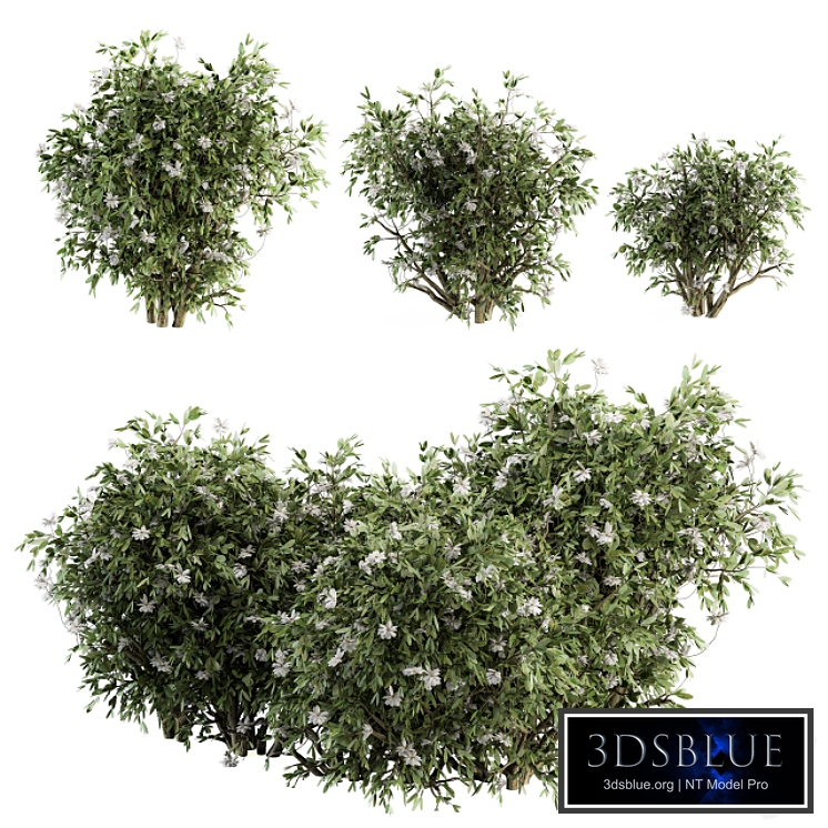 Flower Bush - Bush Set 15