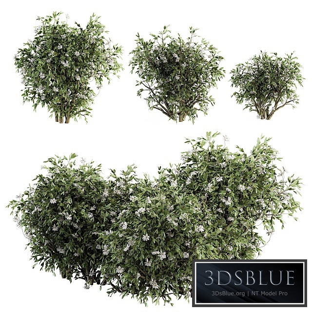 Flower Bush - Bush Set 15