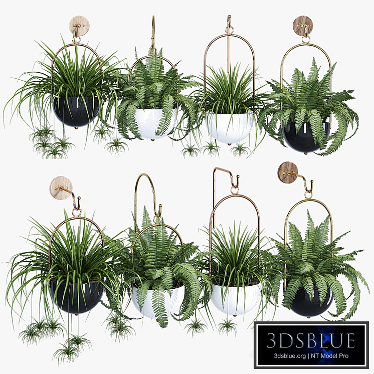 Boho hanging planter