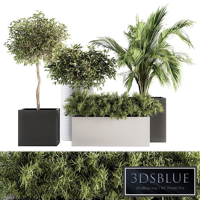 indoor Plant Set 188 - Plant Boxes