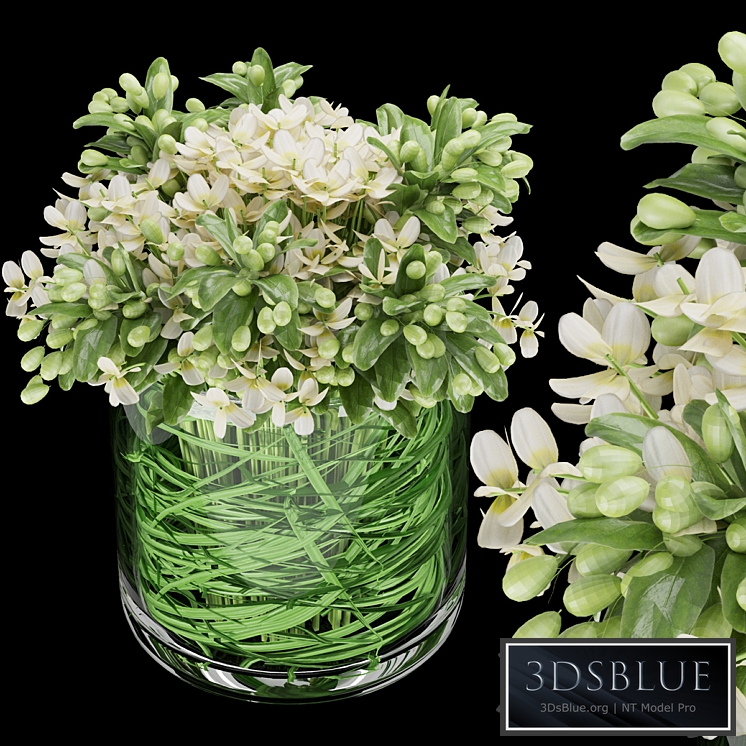 Collection plant vol 123