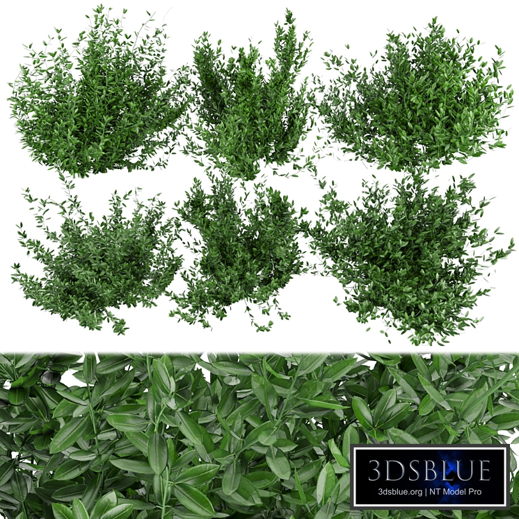 Collection plant vol 124