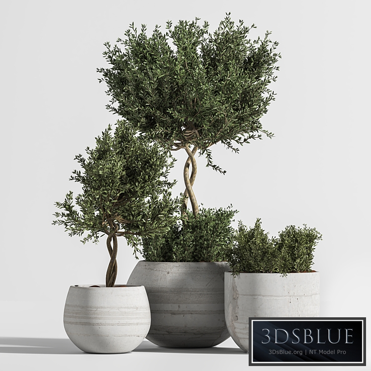 Plant Indoor with Concrete Leaf