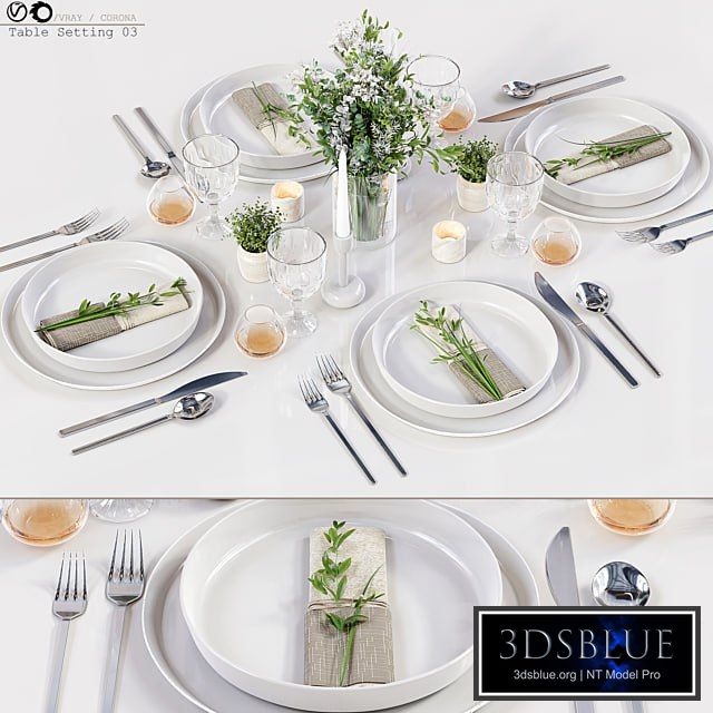 Table Setting 03