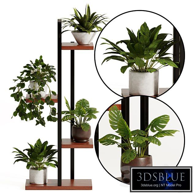 Plant stand flower pot