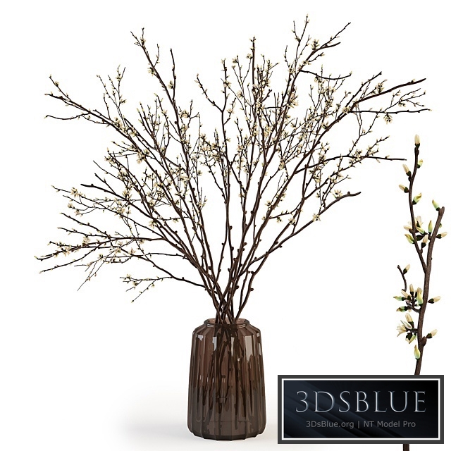 Branches in a vase 015