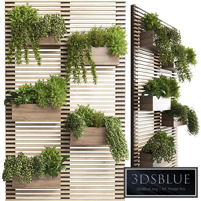 Indoor plant-plant stand wood vase 03