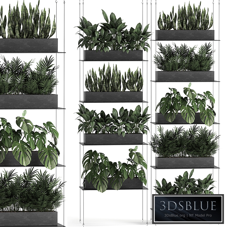 Vertical gardening. 64 Black shelf, loft, landscaping, Monstera, shelf with flowers, phytowall, phytomodule, flower garden