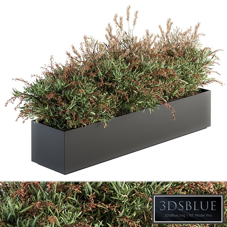 Outdoor Plant Set 166 - Plant Box Bush