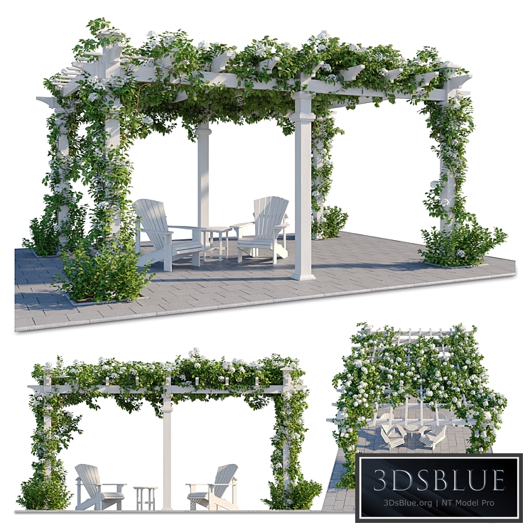 Pergola with Hydrangea